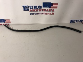 Hood Seal
